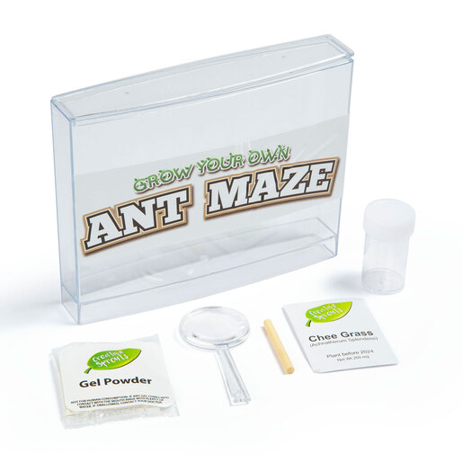 Jacks Creative Sprout Grow Your Own Ant Maze